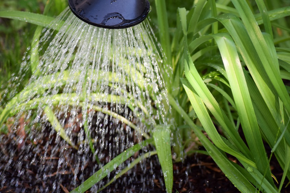 Supervisory Services for Irrigation and Drainage Works within the WRIP